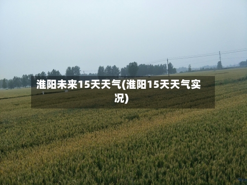 淮阳未来15天天气(淮阳15天天气实况)