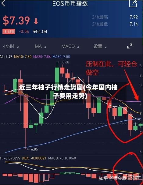 近三年柚子行情走势图(今年国内柚子费用走势)