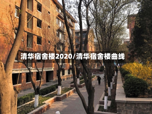 清华宿舍楼2020/清华宿舍楼曲线