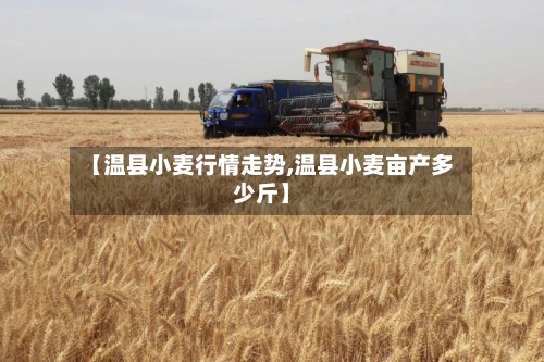 【温县小麦行情走势,温县小麦亩产多少斤】