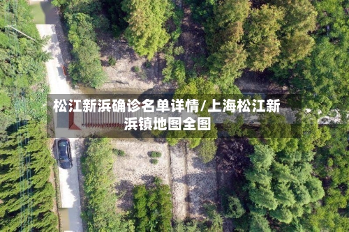 松江新浜确诊名单详情/上海松江新浜镇地图全图