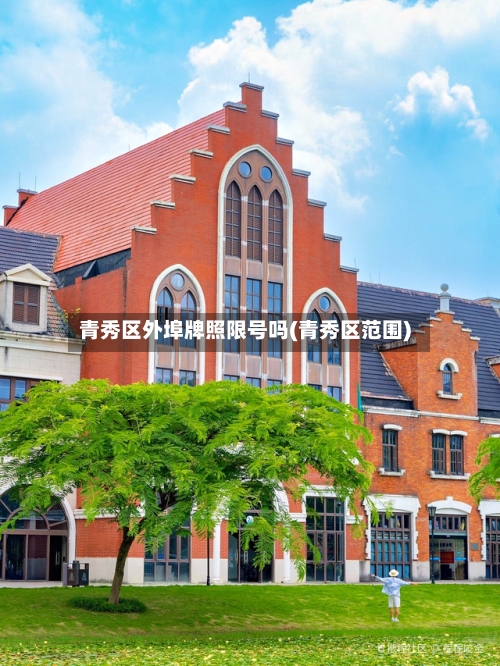 青秀区外埠牌照限号吗(青秀区范围)