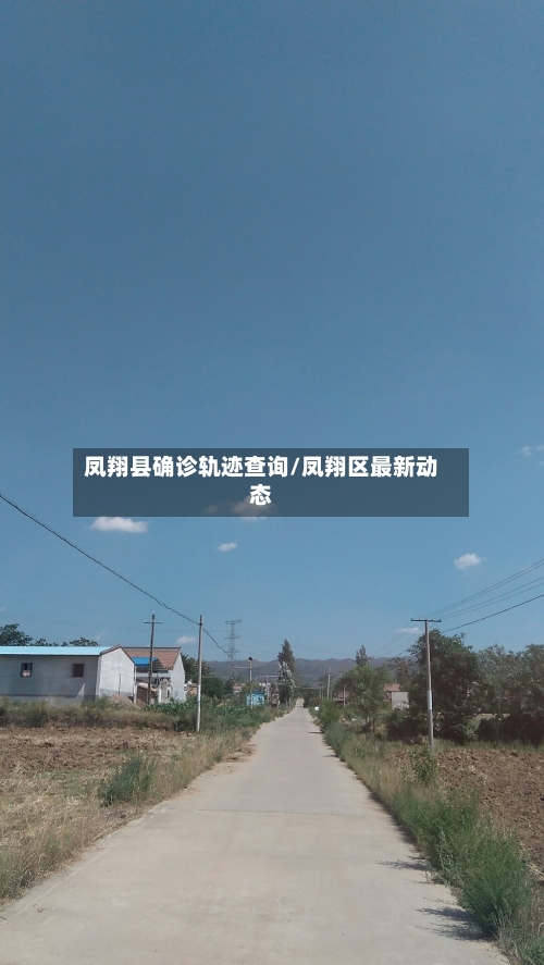 凤翔县确诊轨迹查询/凤翔区最新动态
