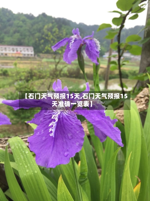 【石门天气预报15天,石门天气预报15天准确一览表】