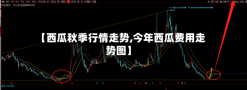 【西瓜秋季行情走势,今年西瓜费用走势图】