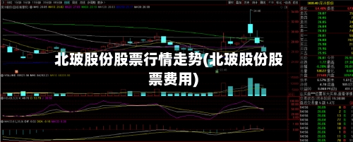 北玻股份股票行情走势(北玻股份股票费用)