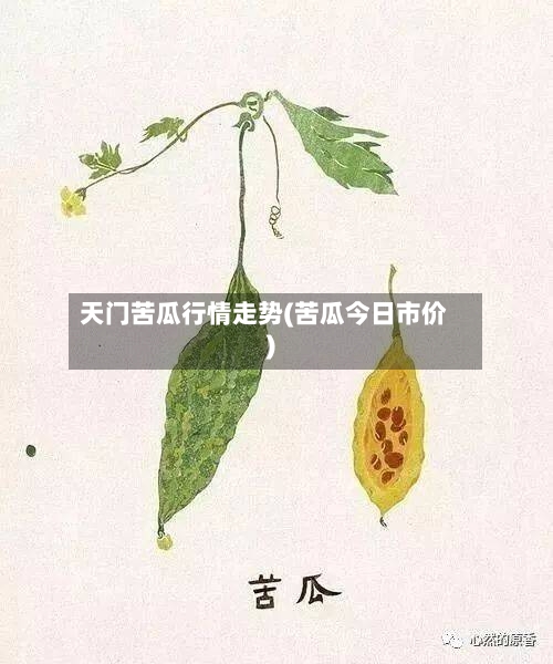 天门苦瓜行情走势(苦瓜今日市价)