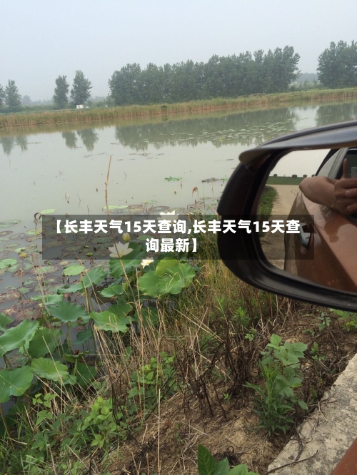【长丰天气15天查询,长丰天气15天查询最新】