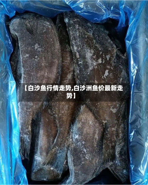 【白沙鱼行情走势,白沙洲鱼价最新走势】