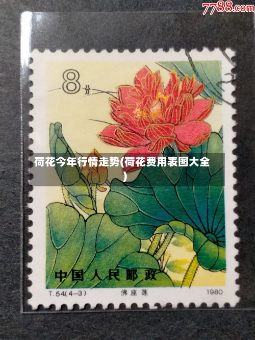 荷花今年行情走势(荷花费用表图大全)
