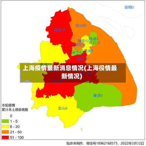 上海疫情最新消息情况(上海役情最新情况)