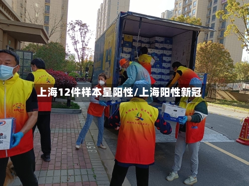 上海12件样本呈阳性/上海阳性新冠