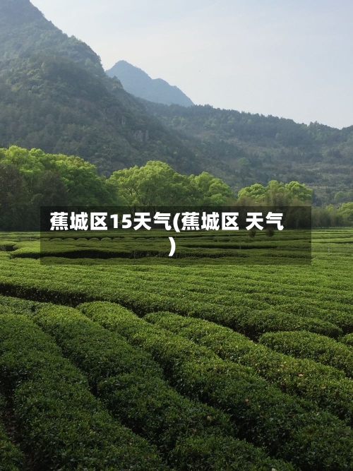 蕉城区15天气(蕉城区 天气)
