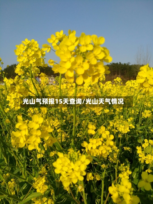 光山气预报15天查询/光山天气情况