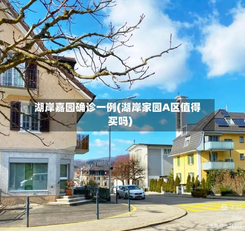 湖岸嘉园确诊一例(湖岸家园A区值得买吗)
