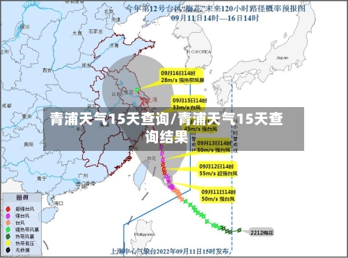 青浦天气15天查询/青浦天气15天查询结果