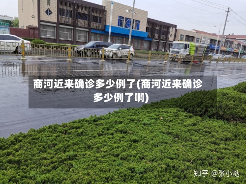 商河近来确诊多少例了(商河近来确诊多少例了啊)