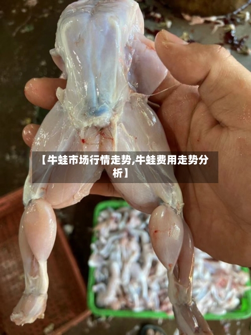 【牛蛙市场行情走势,牛蛙费用走势分析】
