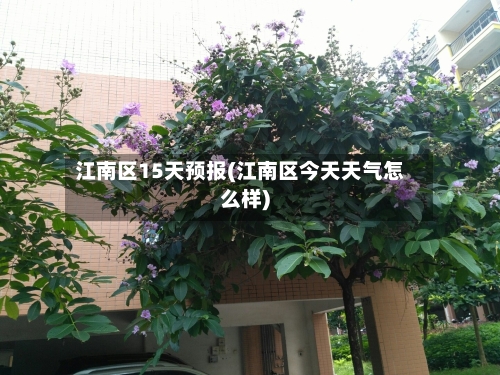 江南区15天预报(江南区今天天气怎么样)