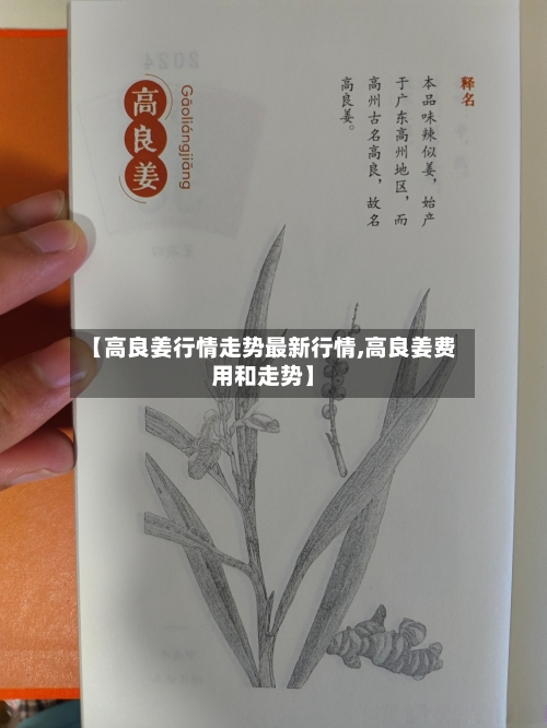 【高良姜行情走势最新行情,高良姜费用和走势】