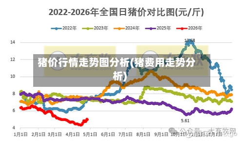 猪价行情走势图分析(猪费用走势分析)