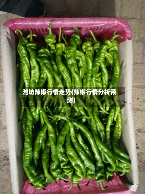 潍坊辣椒行情走势(辣椒行情分析预测)