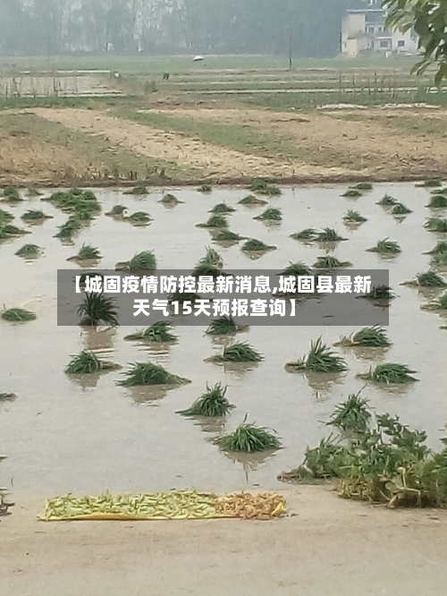 【城固疫情防控最新消息,城固县最新天气15天预报查询】