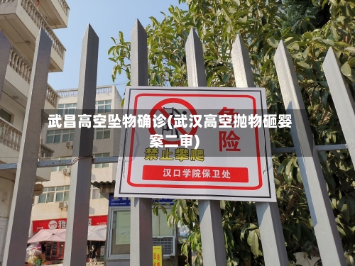 武昌高空坠物确诊(武汉高空抛物砸婴案二审)