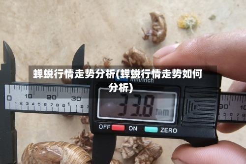 蝉蜕行情走势分析(蝉蜕行情走势如何分析)