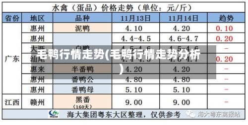 毛鸭行情走势(毛鸭行情走势分析)