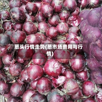 葱头行情走势(葱市场费用与行情)