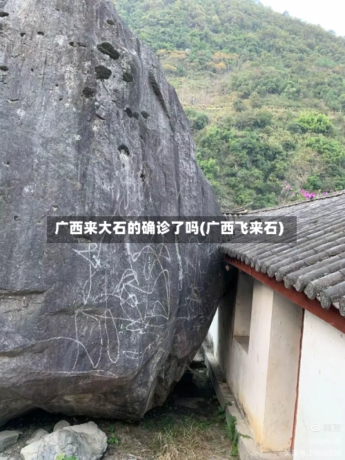 广西来大石的确诊了吗(广西飞来石)