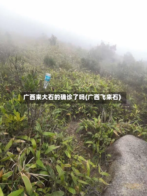 广西来大石的确诊了吗(广西飞来石)