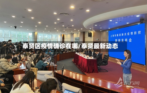 奉贤区疫情确诊在哪/奉贤最新动态