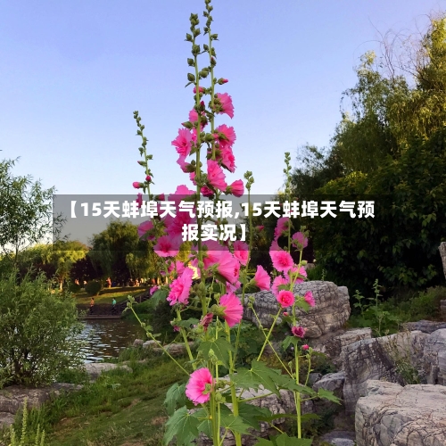 【15天蚌埠天气预报,15天蚌埠天气预报实况】