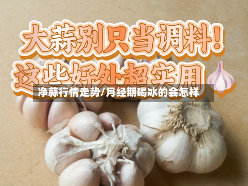 净蒜行情走势/月经期喝冰的会怎样