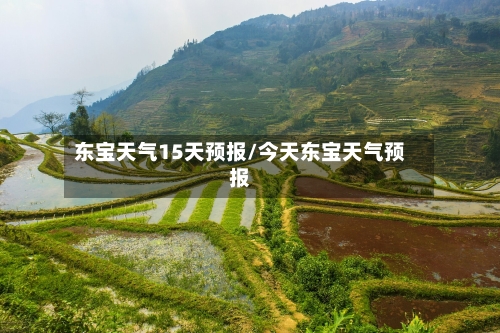 东宝天气15天预报/今天东宝天气预报