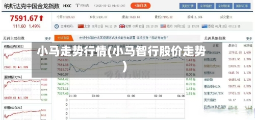 小马走势行情(小马智行股价走势)