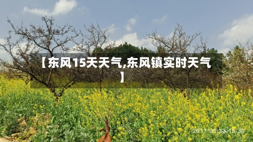 【东风15天天气,东风镇实时天气】