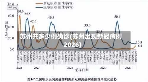 苏州共多少例确诊(苏州出现新冠病例2026)