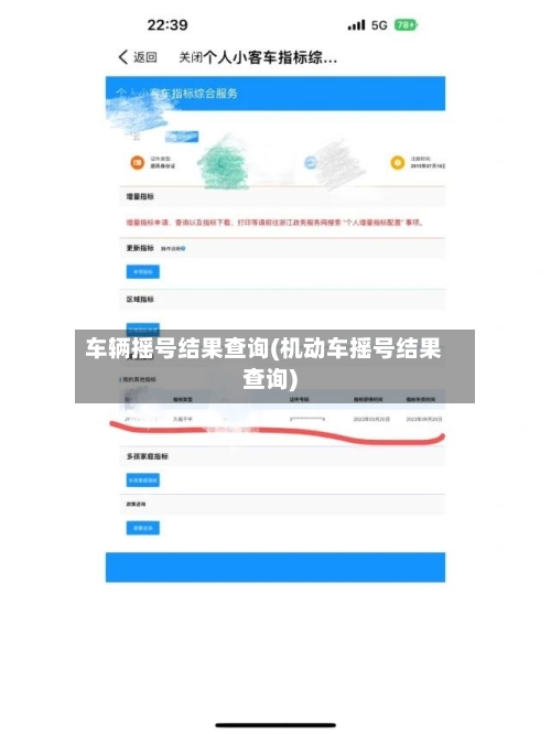 车辆摇号结果查询(机动车摇号结果查询)