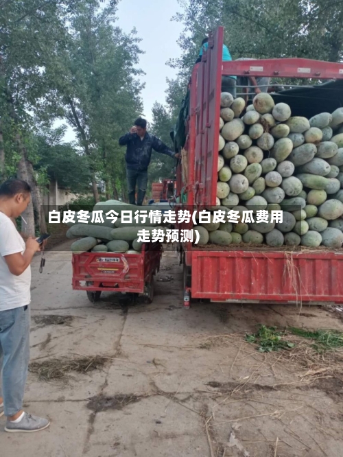 白皮冬瓜今日行情走势(白皮冬瓜费用走势预测)