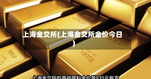 上海金交所(上海金交所金价今日)
