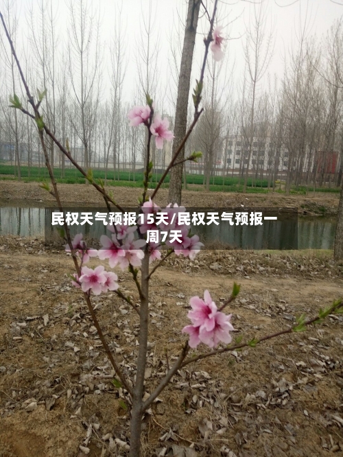 民权天气预报15天/民权天气预报一周7天