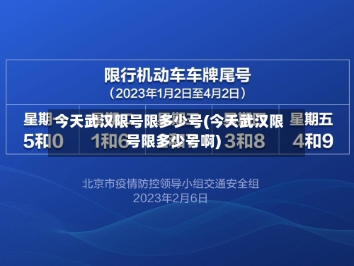 今天武汉限号限多少号(今天武汉限号限多少号啊)