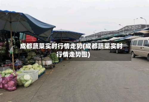 成都蔬菜实时行情走势(成都蔬菜实时行情走势图)