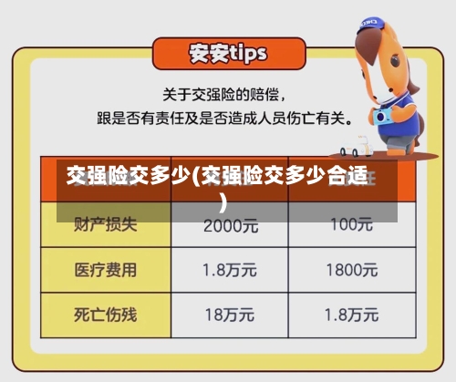 交强险交多少(交强险交多少合适)