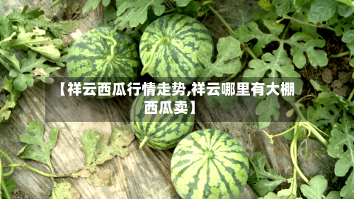 【祥云西瓜行情走势,祥云哪里有大棚西瓜卖】