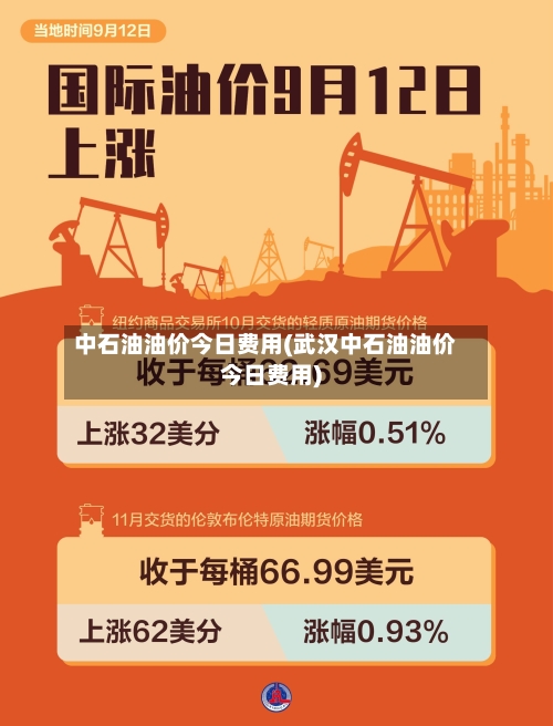 中石油油价今日费用(武汉中石油油价今日费用)
