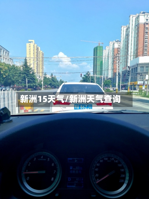 新洲15天气/新洲天气查询